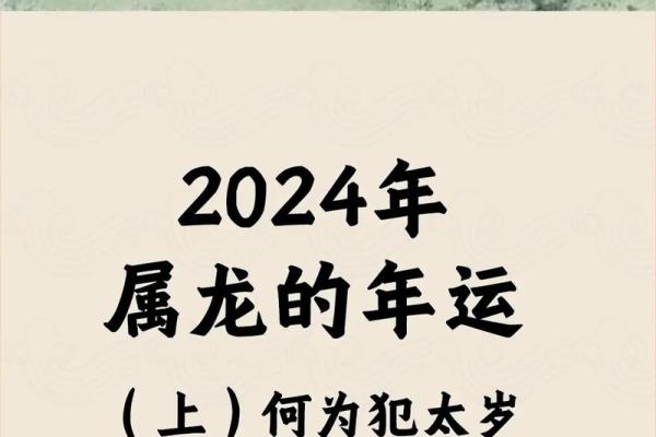 2022年属龙的命运解析与生活智慧分享