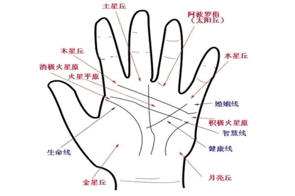 揭秘手相:什么样的掌纹预示着幸福与好运的男性 揭秘手相:什么样的掌纹预示着幸福与好运的男性