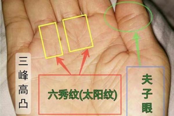 揭秘手相:什么样的掌纹预示着幸福与好运的男性 揭秘手相:什么样的掌纹预示着幸福与好运的男性