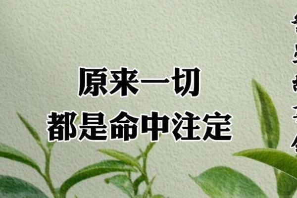 测试你天生注定的命运，揭示人生的秘密和机遇！