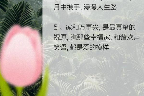 小康生活的命理特征：幸福与和谐的生活追求