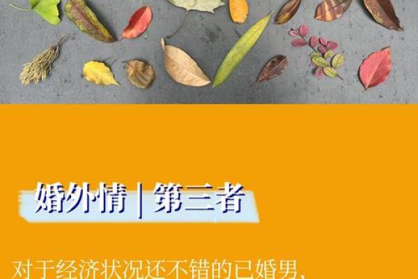 当女人掌控财务，男人的金钱究竟去哪了？