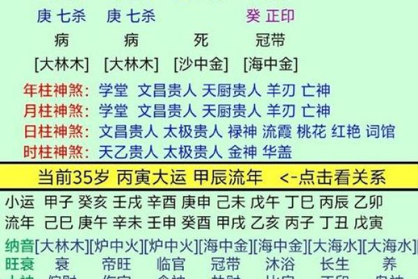 解密己巳癸亥：运势与命格的深刻解析