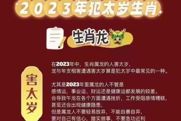 2023年5月28日出生的人命运解析：探索个性与未来