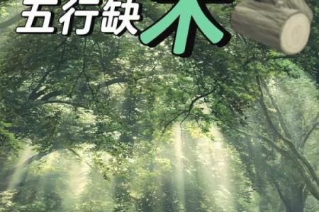 大林木命男孩的命理分析：缺什么、补什么？