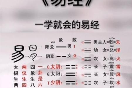 命里带什么适合学周易？探索周易与个人命理的深层联结