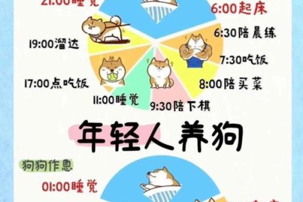 1970年狗年出生的人是什么命,命理分析与人生建议 1970年狗年出生的人是什么命,命理分析与人生建议