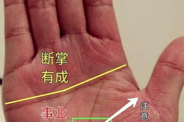 风水命理与手相:解密你的命运与人生轨迹 风水命理与手相:解密你的命运与人生轨迹