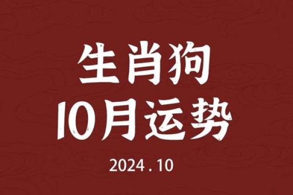 1982年属狗人的性格与命运探秘：你是否也在其中？