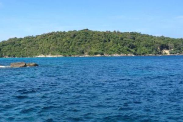 大海水命的喜忌解析：探寻属于你的命理之路