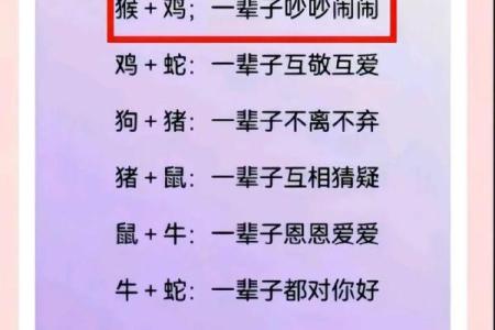 探寻最爱命的生肖：你的命中注定是哪个生肖？