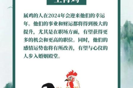 2029年属鸡的命运如何解析：揭示八字的奥秘与未来走向探讨