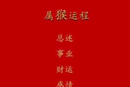 2004年属猴，命运如何：从生肖看人生的转折与机遇