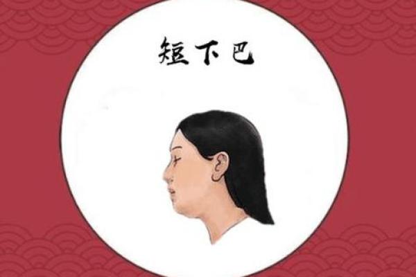额头高下巴短,这样的面相究竟意味着什么? 额头高下巴短,这样的面相究竟意味着什么?