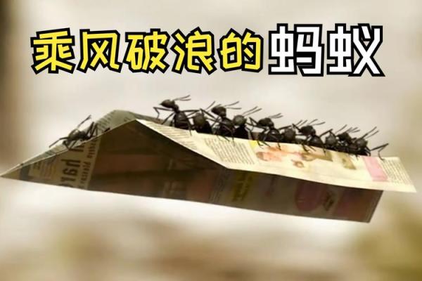 2038年马年命运与运势解析：如何乘风破浪，迎接美好人生！