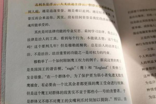 一命与两命的深刻区别：生存与重生的哲学探索