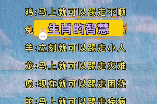 探秘正月十二属相，解读你的命运之钥！