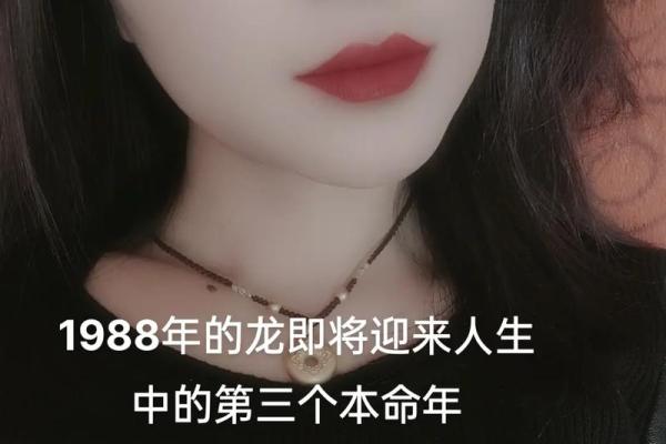 1988年属龙人的命运特点与人生运势分析 1988年属龙人的命运特点与人生运势分析