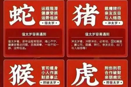 987年兔命，探寻兔年出生者的命运与性格特点