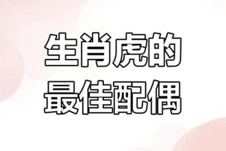 1974年虎命与生肖配对的最佳选择与分析