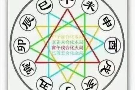 东四命与西四命的区别：揭示命理背后的奥秘与智慧