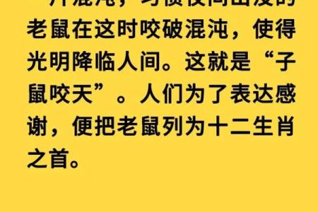 探索36年鼠命：神秘而独特的命运之路