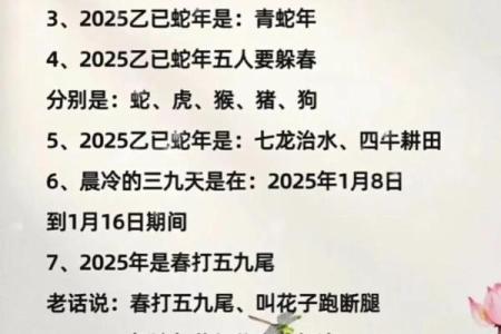 1963年出生的人命运解析：机遇与挑战并存的年命人生