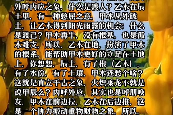探索命理:甲木戊土命的独特特征与命运之路 探索命理:甲木戊土命的独特特征与命运之路