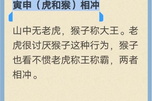 霹雷火命：一个生肖背后的神秘故事与启示