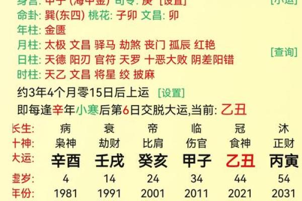 丁酉年未时命运解析：探索命理的奥秘与人生的方向