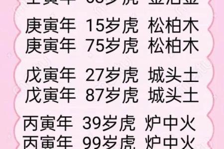 1986年属虎的命格分析与人生运势探讨