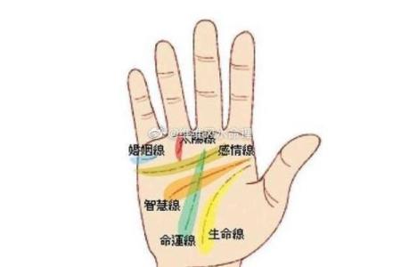 揭秘皇后命：命理中的尊贵与智慧之象征