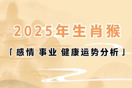 2014年猴年 属性与命运的深刻解析与启示