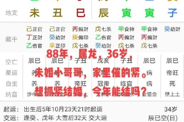 88年属龙的命理互补：与什么命最佳搭配？