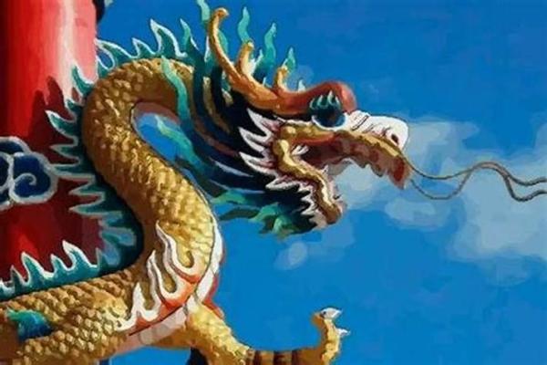 属龙命缺水人士适合的颜色与生活调整探讨