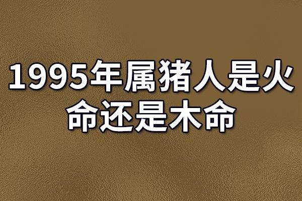 2010年属猪的命运与性格分析：探索猪年之人的独特魅力