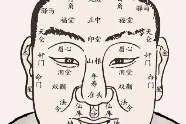 从面相看：哪些男人天生富贵命，运势亨通？