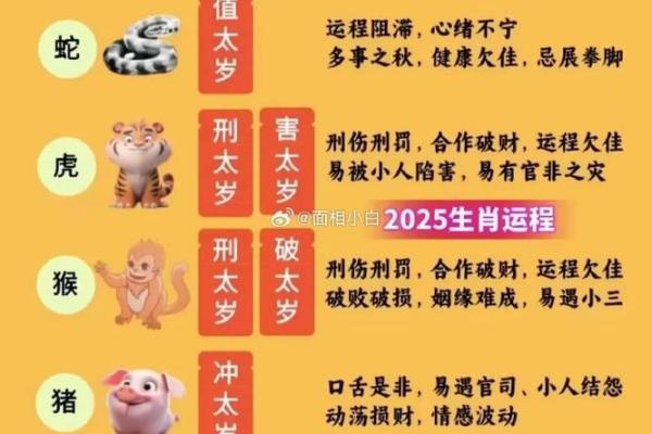 生肖与命运：解析不同年份出生者的命理之道