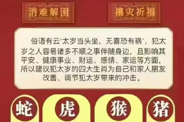 2019年猪年命理解析：命缺什么与人生启示