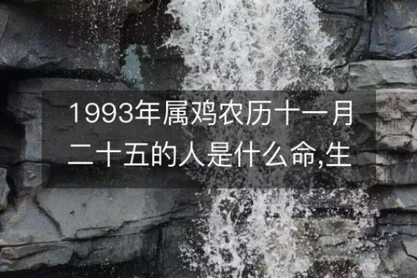 1993年属鸡的命运解析：人生、性格与未来