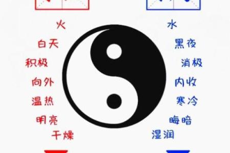 太极命格：揭秘中华命理中的阴阳平衡之道