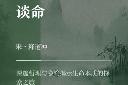 200年鼠年：探寻命运与性格的奥秘