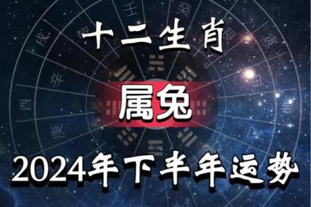 1999年属兔人的命理解读与人生指南