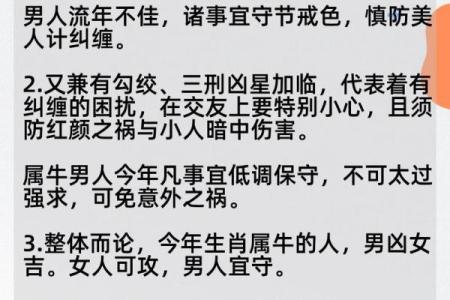 牛年木命：如何把握机遇与挑战，成就辉煌人生