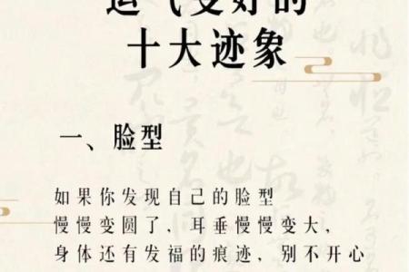 2005年是命运的转折点，你的生活因此而改变？