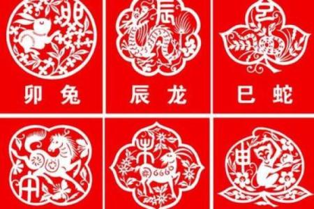 1940年属什么生肖什么命，揭示命理奥秘与生活智慧