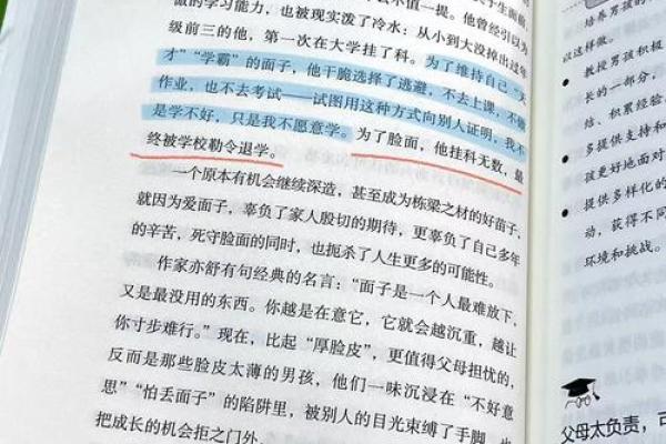 2007年出生的男孩命理解析：如何把握人生机遇与挑战