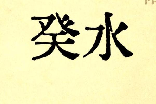 2023，癸卯年：探索“水”之命的智慧与潜力