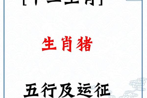 1995年是什么猪什么命，探索生肖与命理的神秘联系