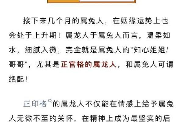 1999年的兔年命理解析：如何迎接兔子的好运与挑战